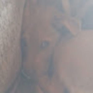 Meet your Posher, Johnnie